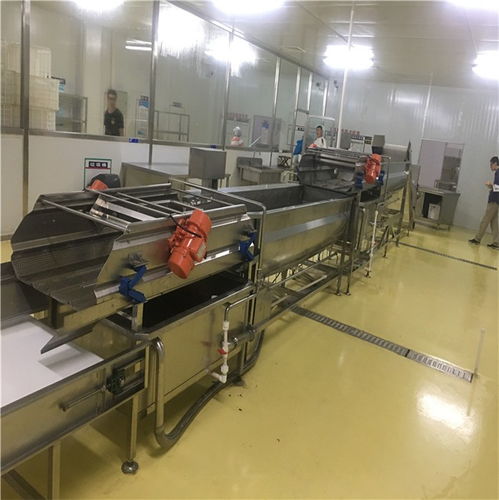 辣椒涡流震动清洗机设备哪家好 亿马食品机械